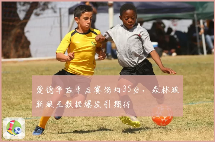 爱德华兹季后赛场均35分，森林狼新狼王数据爆发引期待