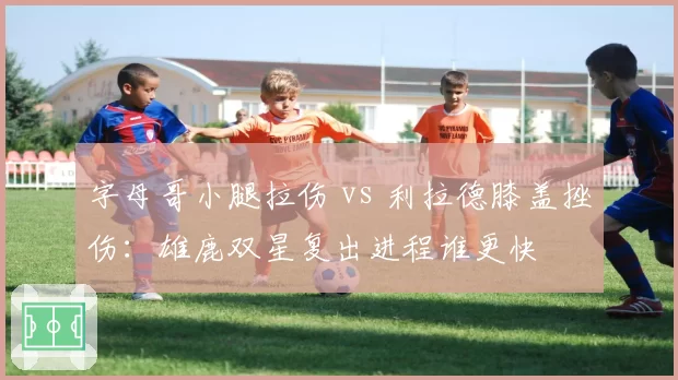 字母哥小腿拉伤 vs 利拉德膝盖挫伤:雄鹿双星复出进程谁更快