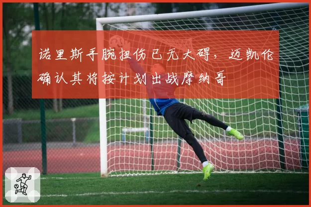 诺里斯手腕扭伤已无大碍，迈凯伦确认其将按计划出战摩纳哥